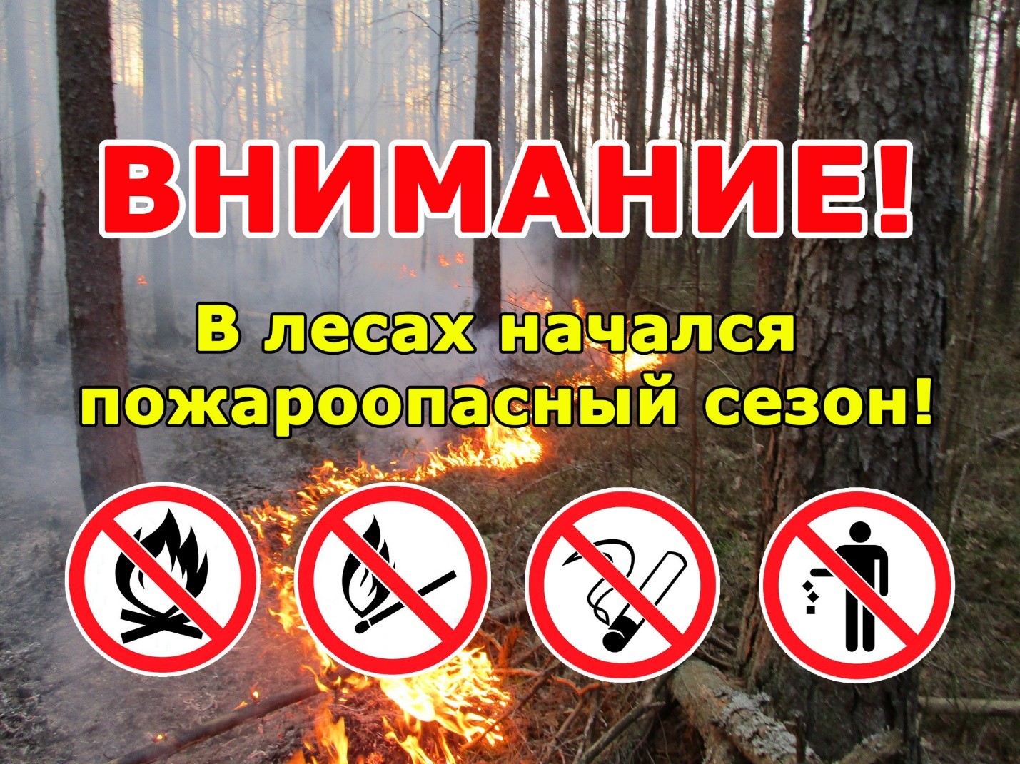 В Красноярском крае стартовал пожароопасный сезон.